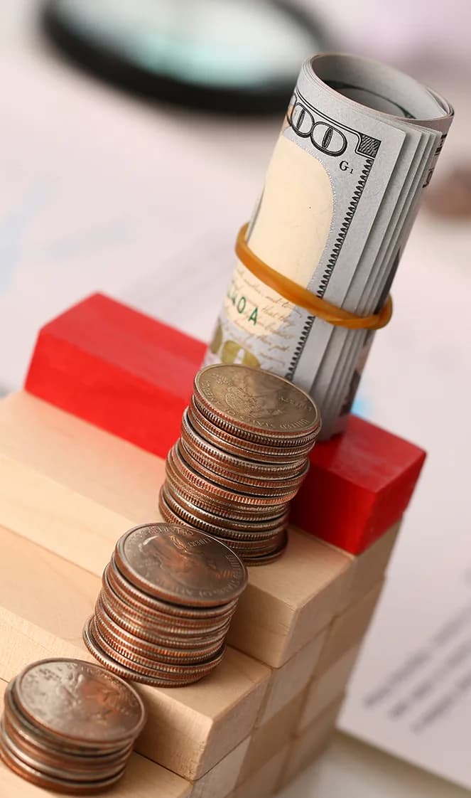 Budget-friendly business setup