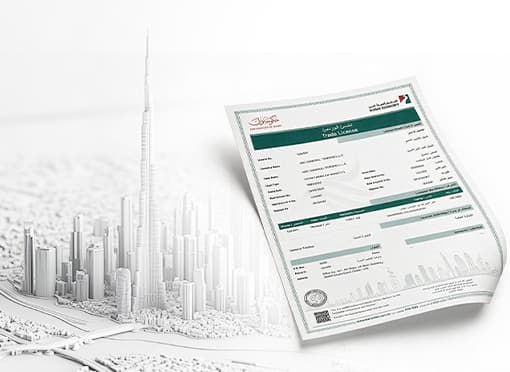 Business setup services